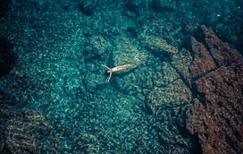 Ser maior é a vida a acontecer. Esta é a FLASH! aos 18 anos 