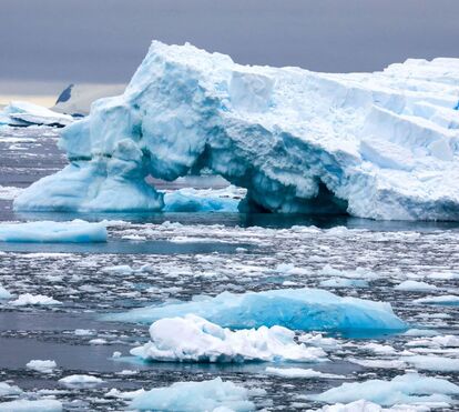 Nações Unidas confirmam temperatura recorde na Antártida em 2020