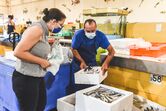 Chef Noélia Jerónimo no mercado de Tavira 