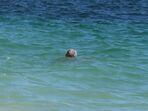 António Costa na praia com a mulher, Fernanda Tadeu