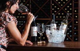 Vila Galé sugere experimentar vindimas no Douro e no Alentejo