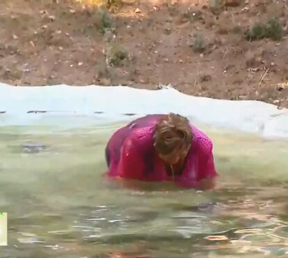 Que coragem! Dona Odete protagoniza momento hilariante no 'Somos Portugal' da TVI e deixa todos de boa aberta