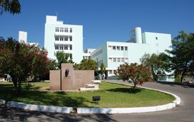 Diretor do Centro Hospitalar de Setúbal demite-se por falta de condições