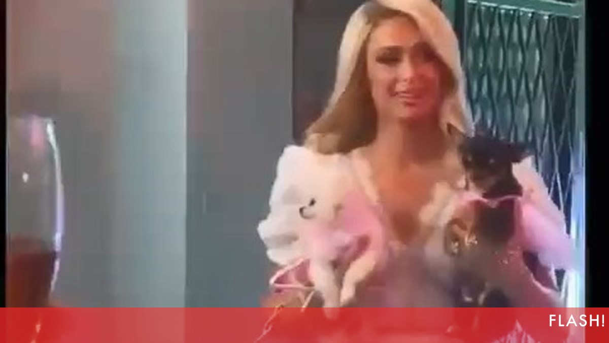 Confira a festa de luxo de Paris Hilton antes do casamento de novembro