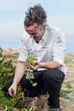 Chef Gil Fernandes à "pesca" do  melhor que as dunas do Guincho oferecem