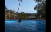 Veja Herman José todo nu na piscina