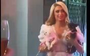 Confira a festa de luxo de Paris Hilton antes do casamento de novembro