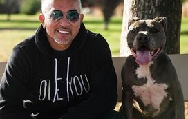 Recorda-se do 'Encantador de Cães'? Está a ser acusado de deixar o seu pitbull matar outro cãe e atacar uma mulher