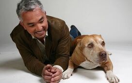 'O Encantador de Cães' envolto em polémica