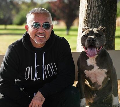 Recorda-se do 'Encantador de Cães'? Está a ser acusado de deixar o seu pitbull matar outro cãe e atacar uma mulher