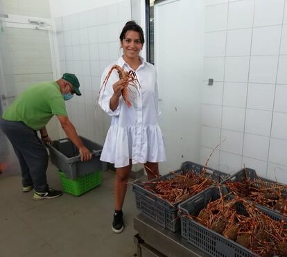 Sim, Chef! por Nikita Polido