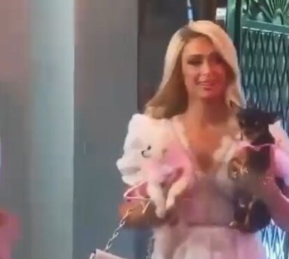 Paris Hilton organizou duas festas de luxo para celebrar despedida de solteira