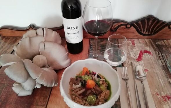 Chef Hugo Guerra, Lobo Mau, Arroz cremoso de cogumelos, algas e tapioca