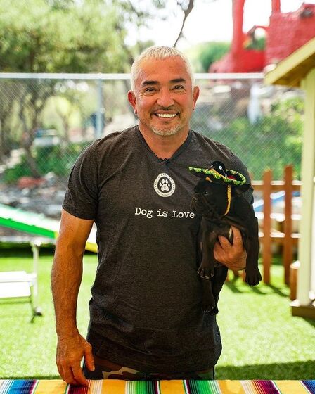 Cesar Millan