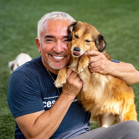 Cesar Millan