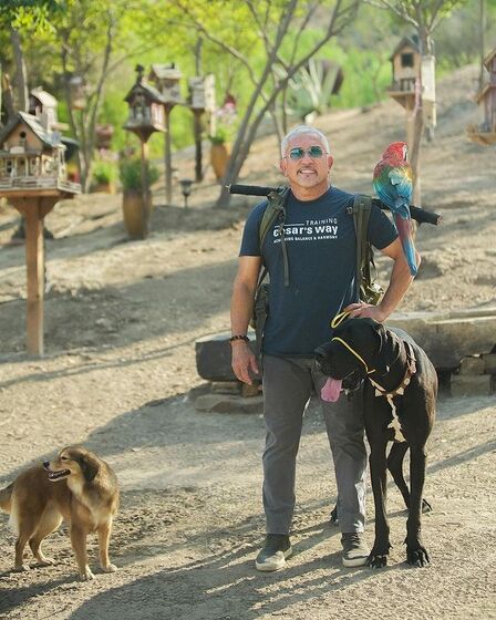 Cesar Millan