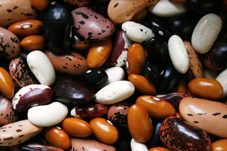 Leguminosas