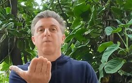 Veja como Luciano Huck explica o impacto direto da desflorestação na crise climática