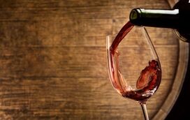 São Martinho à porta: Conheça 10 adegas que oferecem provas de vinho