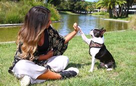 Sabe por que o seu cão inclina a cabeça para o lado quando fala com ele? A razão foi finalmente descoberta