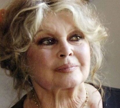 Brigitte Bardot sai da 'clausura' para defender Alain Delon: 'É uma mediocridade lamentável'