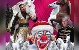Apelo desesperado! Circo Cardinali roubado em milhares de euros emociona famosos  