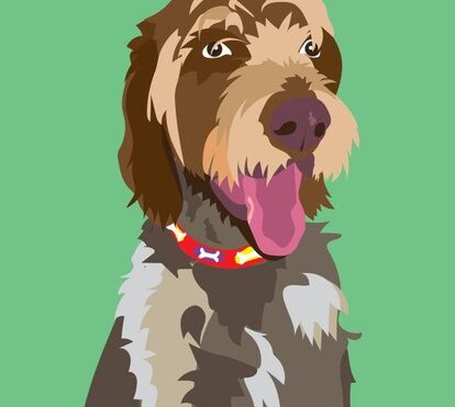 'Amigo Secreto': 8 ideias para oferecer a pessoas com quem não tem muita confiança