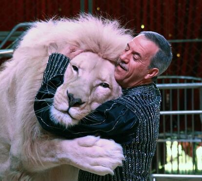 Apelo desesperado! Circo Cardinali roubado em milhares de euros emociona famosos  