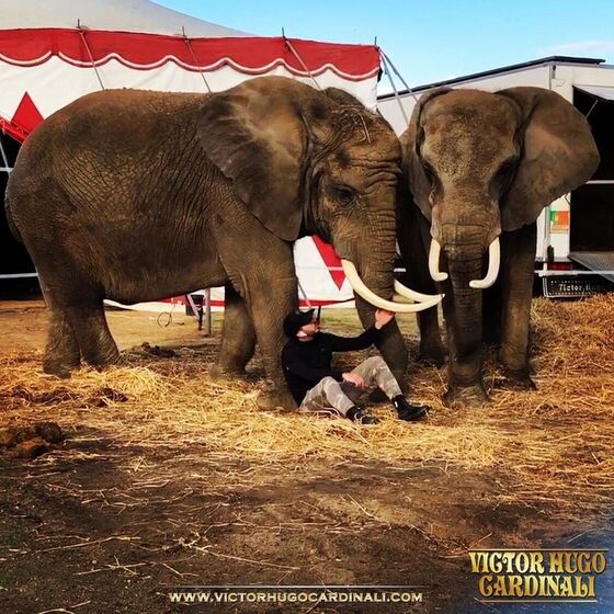 Victor Hugo Cardinali