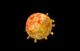 "Todos vamos ser infetados". A covid veio para ficar. Por isso, quando voltamos à normalidade e tiramos as máscaras? As respostas dos especialistas