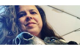 Acabar com o IVA de "luxo" nos animais: a medida que pode mudar a vida do seu melhor amigo