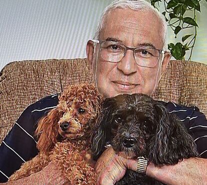 É com estes 'bebés' que os homens que querem mandar no nosso país se derretem. Conheça os animais de estimação dos candidatos 