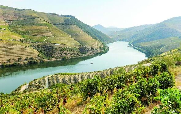 Douro vinhateiro