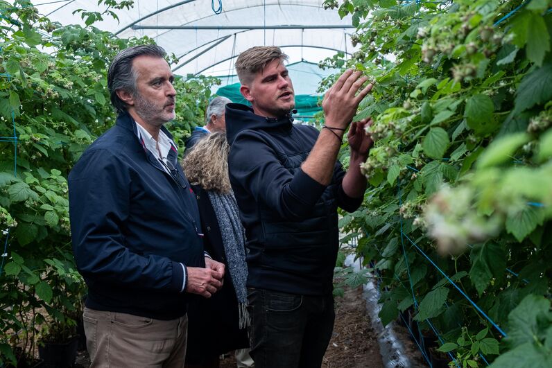 João Cotrim Figueiredo