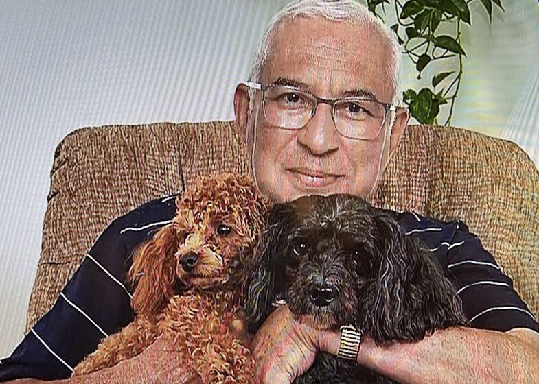 Naná e Docas, os cães de António Costa 