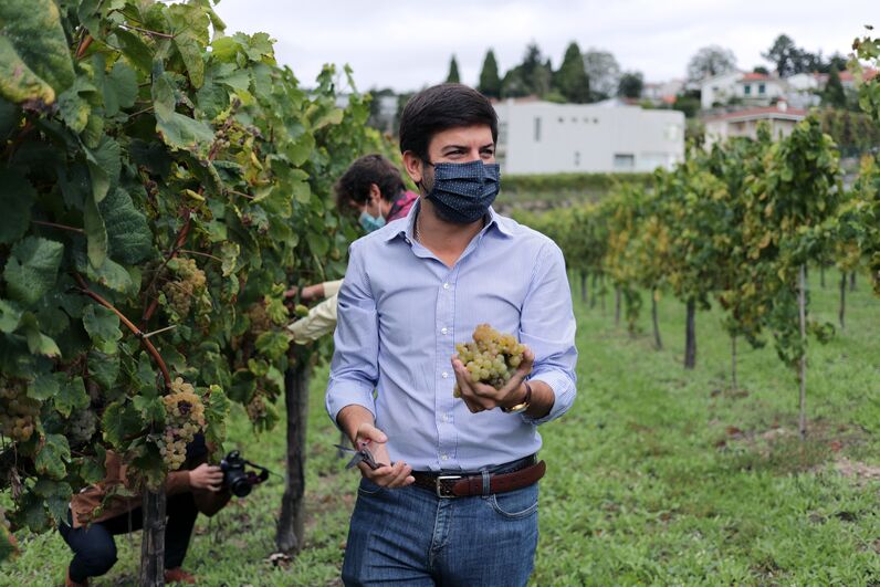 Francisco Rodrigues dos Santos