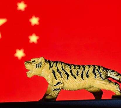 Quais são os signos mais e menos protegidos no ano chinês do Tigre? As previsões de Maya 