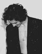 timothee chalamet