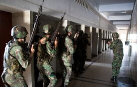 Soberania e segurança