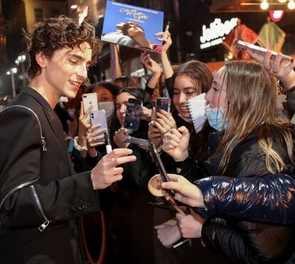 Quem lhe resiste? Este é o 'miúdo do momento': Timothee Chalamet, o mais fashion da Sétima Arte
