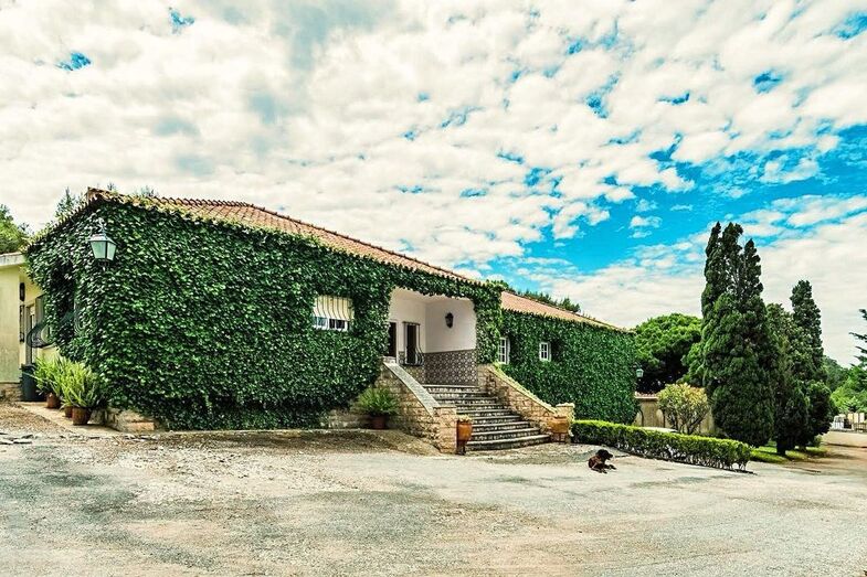 madalena abecassis, casa