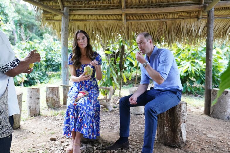 Duques de Cambridge, kate, william