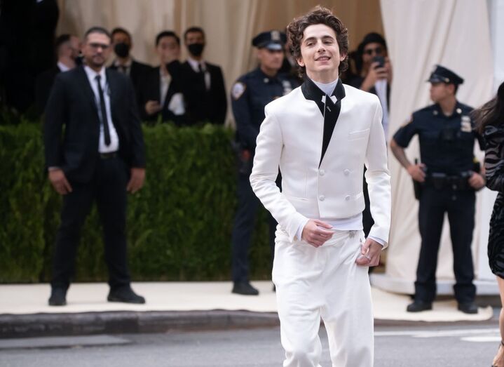 timothee chalamet