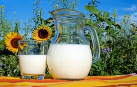 Saiba quais são os grandes benefícios do kefir, o leite fermentado 