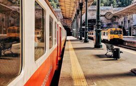 O comboio 'instagramável' volta a circular entre Lisboa e Castelo Branco