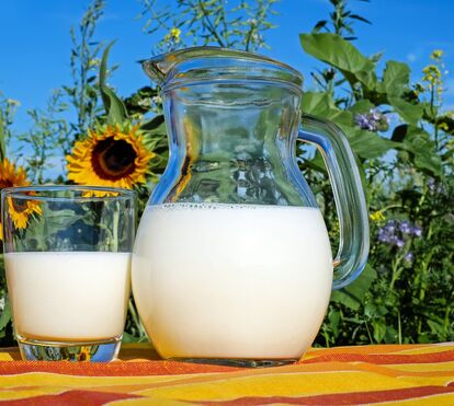 Saiba quais são os grandes benefícios do kefir, o leite fermentado 