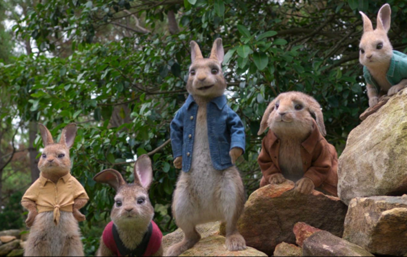 Peter Rabbit