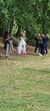 Novela Amor Amor, SIC