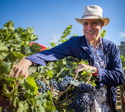 De novo na mira da Justiça: Joe Berardo acusado em esquema fiscal de milhões