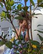 georgina, alana, eva, mateo, cristiano jr, família